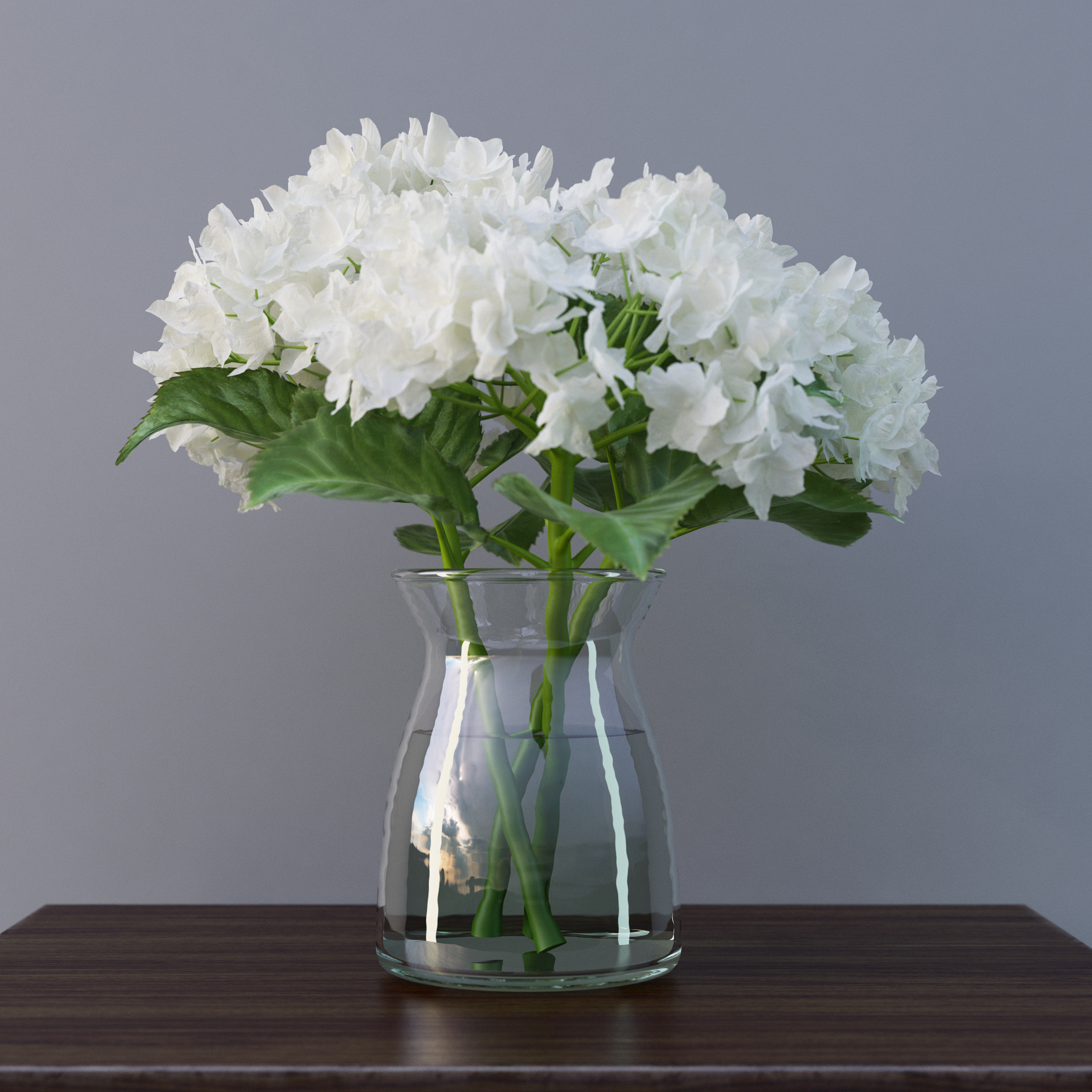 Hydrangea Flower  In Vase 3D  Model by numetal 3DOcean